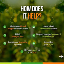 Load image into Gallery viewer, Bitter Gourd Powder